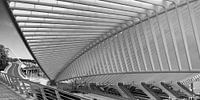 Treinstation GUILLEMINS LUIK