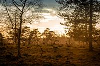 Coucher de soleil à l'automne