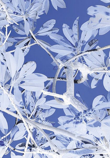 Retourner l'arbre 3 par Raymond Wijngaard