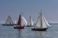 Zeilschepen op Haringvliet