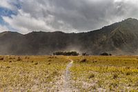Les plaines de sable du Mont Bromo