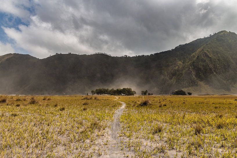 Die sandflächen des Mount Bromo von Thijs van den Broek