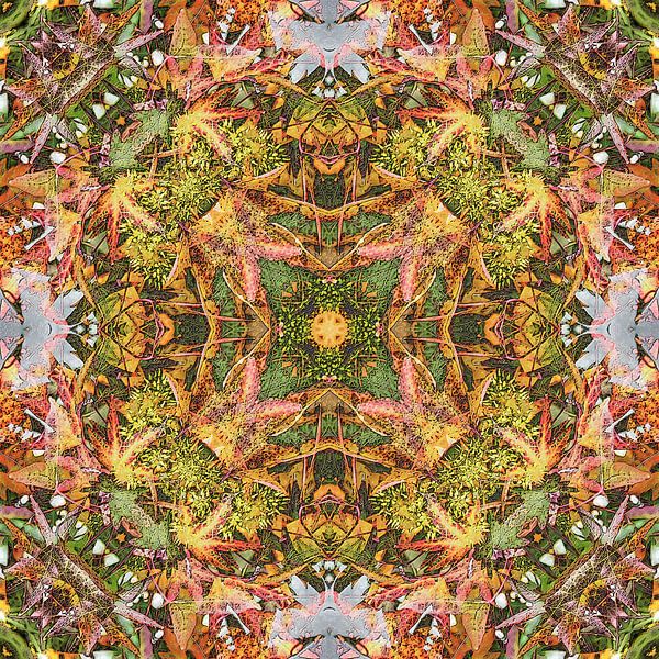 Liquidambar Green par Frans Blok - des photos, de l'art et des autres décorations murales