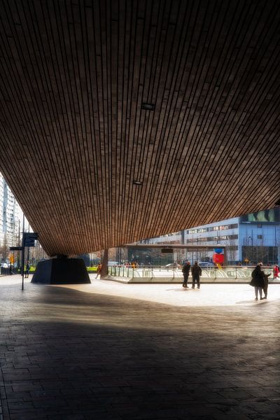Die Gleise des Hauptbahnhofs von Rotterdam in den Niederlanden an einem sonnigen Tag. von Bart Ros