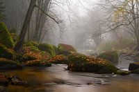 Herbstnebel an der Aist