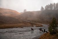 La traversée paisible de l'automne