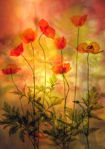 Brand van Hilda van der Lee