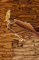 Vibrierende Farben 2