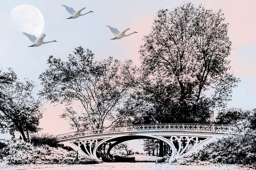 NewYork Central Park von Caroline Drijber