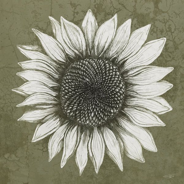 Tournesol en noir par Ilse Schrauwers, isontwerp.nl