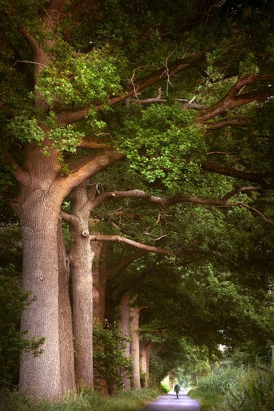 Travelin' Man by Kees van Dongen