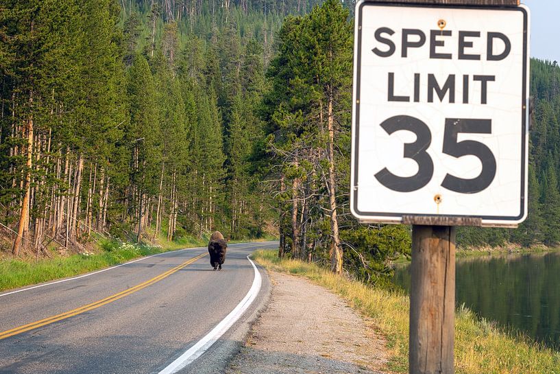 Yellowstone National Park by Studio Retouched fotoshop