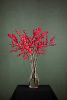 Red berries in vase (Ilex - Holly)