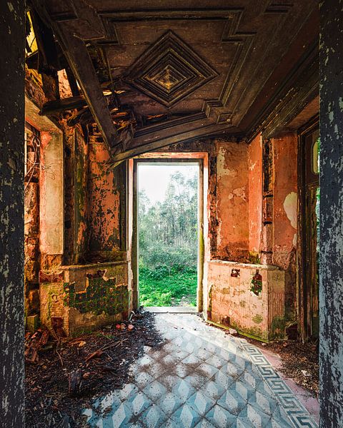 Abandoned Country House with Beautiful Ceiling. by Roman Robroek - Photos of Abandoned Buildings