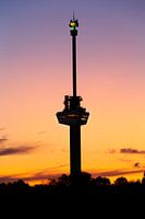 Lumière dorée autour de l'Euromast