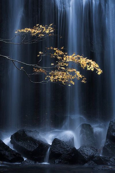 Yellow Autumn by Yuki Yatsushima