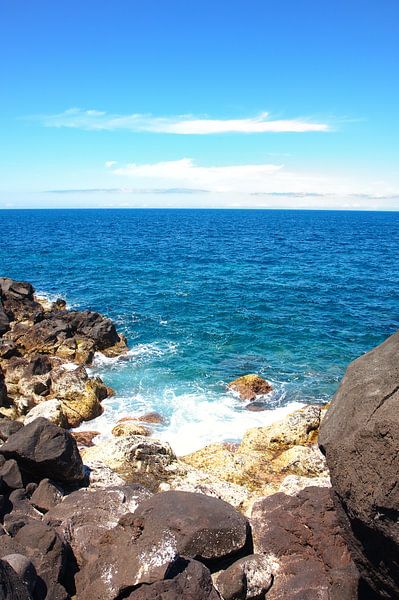 Lavarotsen in de oceaan par Jan Brons