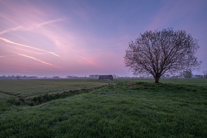Weiland met boom en schuur bij zonsopkomst 06 par Moetwil en van Dijk - Fotografie