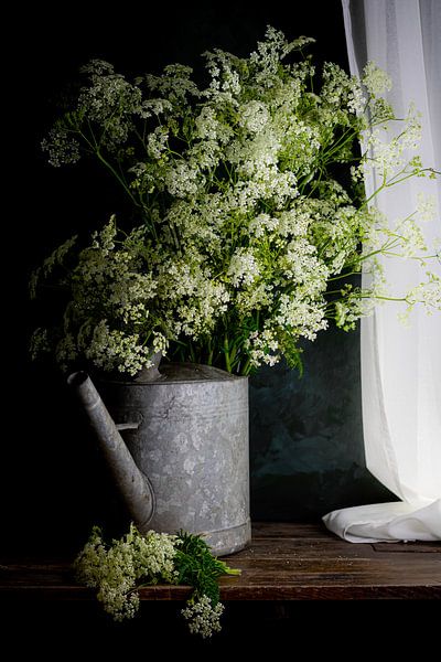 Stilleben Cutthroat von Clazien Boot