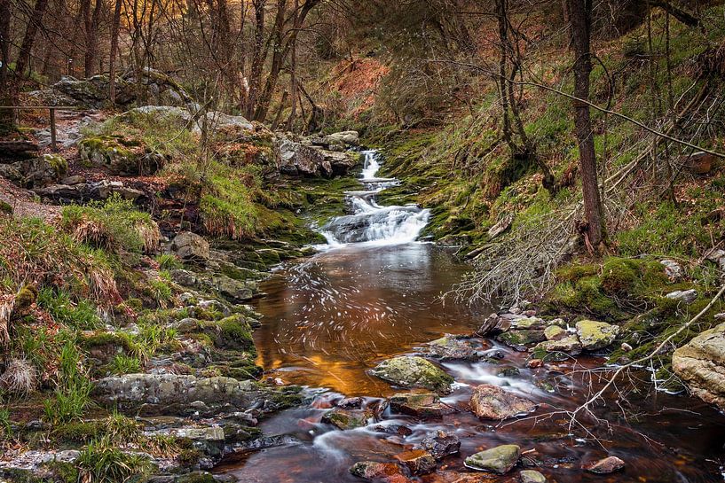 Rivière de montagne La Hoëgne dans les Ardennes belges par Rob Boon