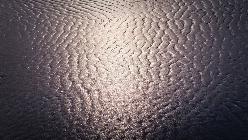 Spotlight op het zand von Anneriek de Jong