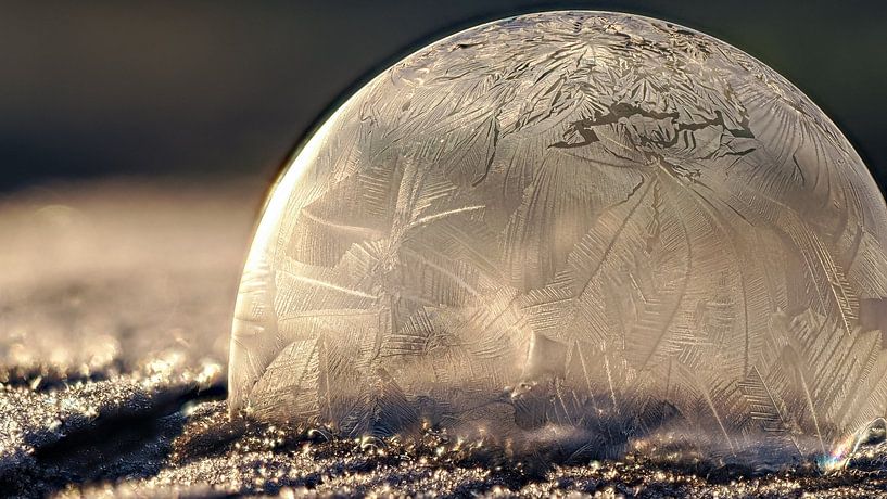 Gefrorene Pracht von Lex Schulte