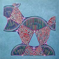 Constellation number 13