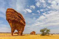 Formations rocheuses bizarres sur le plateau de l'Ennedi au Tchad