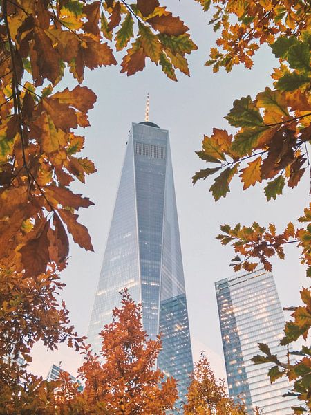 Autumn is in the air par Fabian Bosman