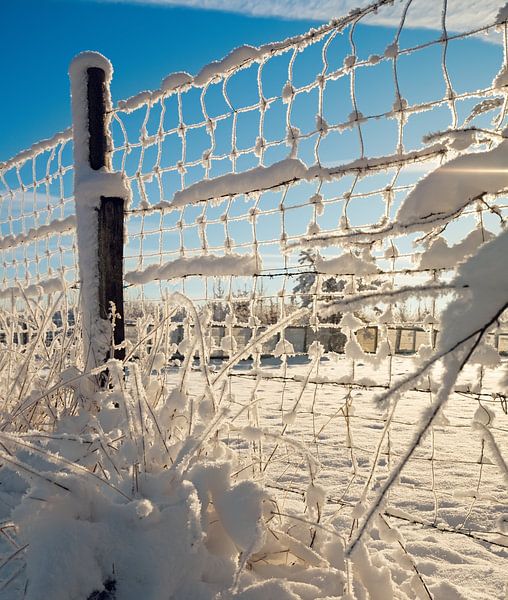 Winter landscape by Bo Valentino