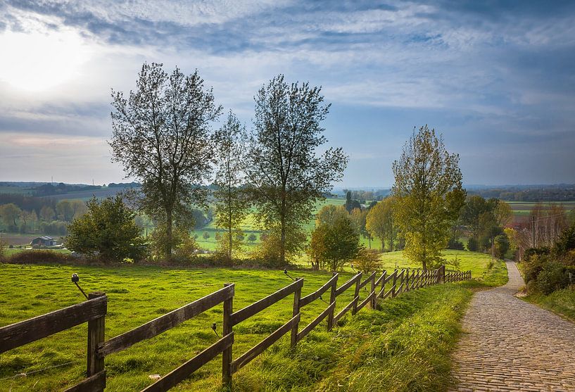 Paterberg by Wim van D