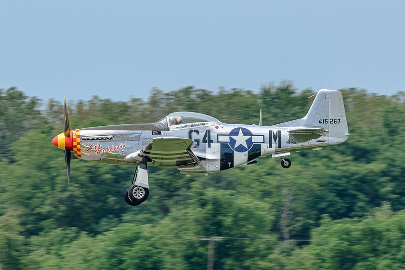 North American P-51D Mustang Ain&#039;t Missbehavin&amp;#039 ;. par Jaap van den Berg
