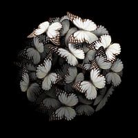 Morphogenetisch: Weiß I