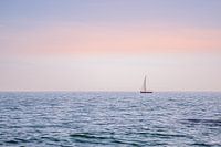 Wit zeil eenzaam