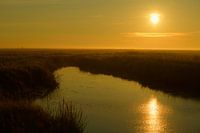 Ambiance matinale dans les marais salants