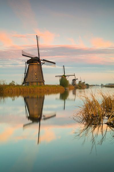 Klassische Foto von Jan Koppelaar Fotografie