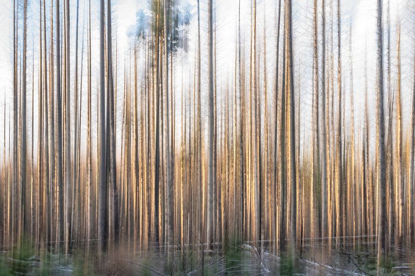Planken Wambuis Teil 125 von Tania Perneel