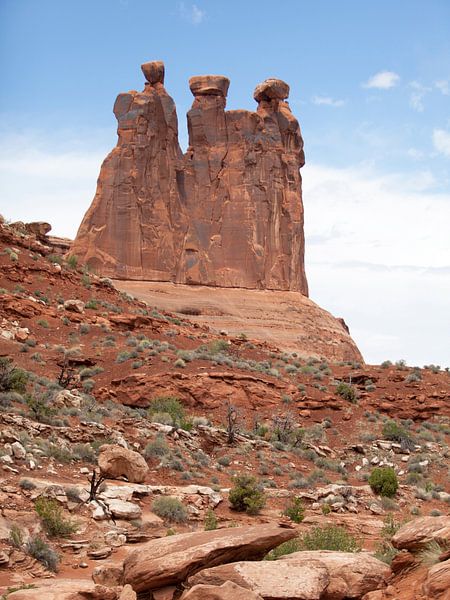 Arches, USA von Kees van Dun