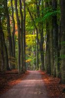 Folgen Sie der Straße. Folgen Sie der Straße...