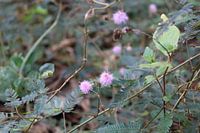 Gewürz rührt mich nicht