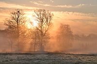 Mystische Landschaft