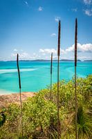 Plage de Whitehaven dans les Whitsundays en Australie