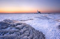 Pferd von Marken im Winter II