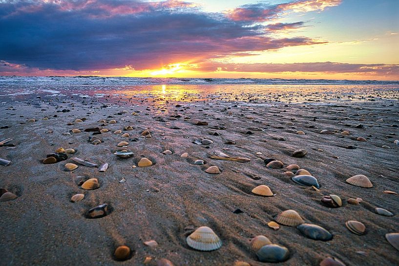 Am Strand von Blåvand bei Sonnenuntergang am Meer von Martin Köbsch