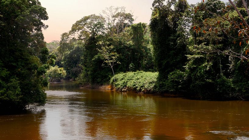 L'île d'Awarradam au Suriname par René Holtslag