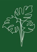 Minimalist Nature & Abstract Illustration Collection