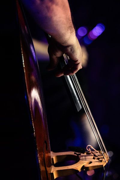 Contrebasse // Instrument à cordes // Musique par Rita Kuenen