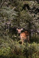 Ne pas parler la bouche pleine