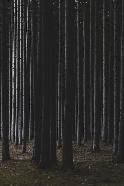 silent and high by Matthias Ettinger