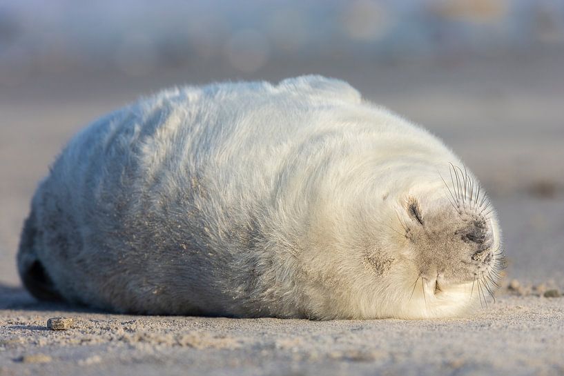 Zenmoment von Daniela Beyer